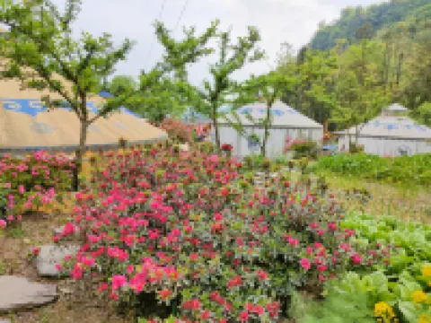 Hanzhong Qiye Shanshe Family Farm Hotels near Hanzhong Mount Longtoushan International Tourism Resort