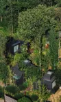Rushi Residence Forest Healing Homestay - Villas
