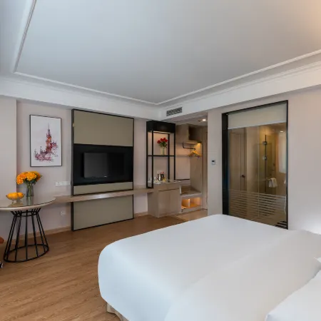 Vienna Hotel (Puning Huancheng South Road High-speed Railway Station)