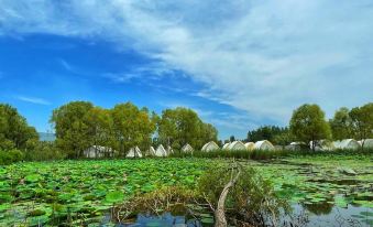 Golden Snail Tengzhou Honghe Scenic Spot Campsite