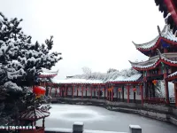 Buena Vista Peninsula Hotel Yantai - Romantic