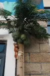 22°HOMESTAY Hotel a Dongao Island