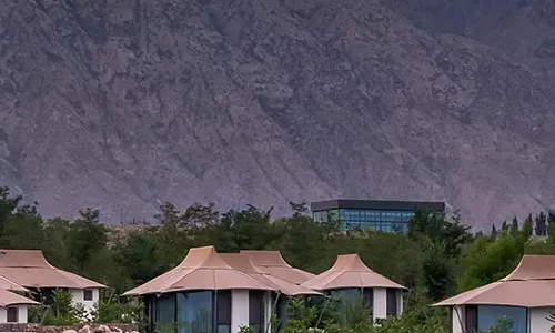 Stray Birds Weixv Hotel