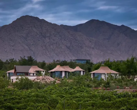Stray Birds × Weixu Helan Nomadic Camp Hotels in Helan