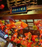 CANG LAN MU YU  DaLi Hostel - วิว