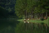 Dalat Edensee Lake Resort & Spa - Kuntosalit