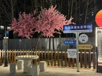 良辰故里主題民宿（長春龍嘉國際機場高鐵站店） - 機場接送