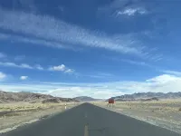 Pu'er Hengyuan Business Hotel Hotels in Gar County