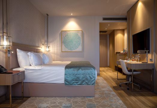 카라반사라이 호텔