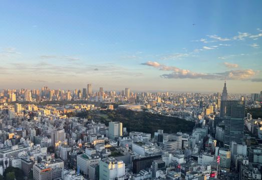 5. 벨루스타 도쿄,..