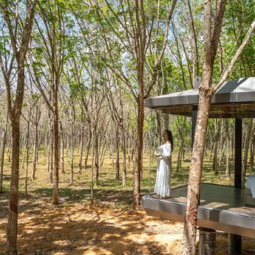 Timber Society Boutique Hideaway