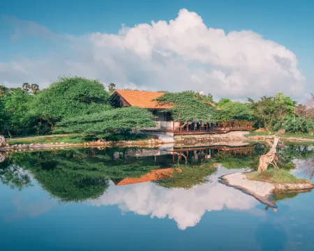 Palmyrah House Hotels in Mannar