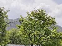 Qingfeng · Mingyueju (Eastern Sanqingshan Scenic Area Jinsha Cableway)