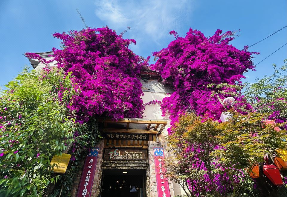 관두 고대 마을 전경 또는 숙소 내부 정원 이미지