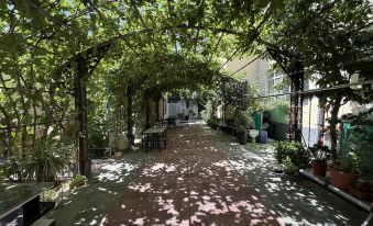 Portuguese Elegance Homestay