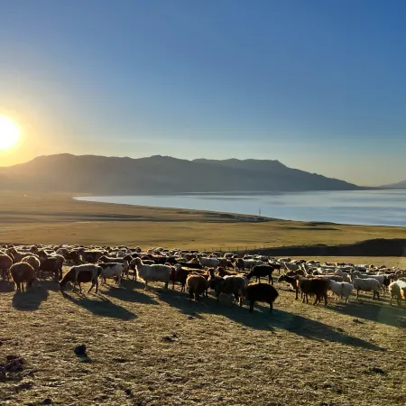 Sayram Lake Lakeside Starry Sky Yurt Homestay