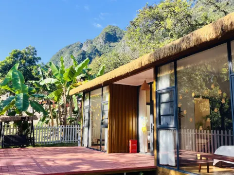 Xiang Wang· Yu Jian Shi guang camp