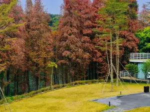 Top 10 Vacation Homes in Foshan