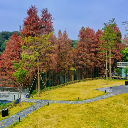 Xinsu 24li Resort