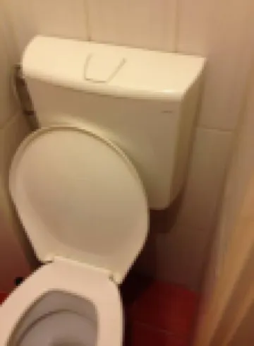 Pauler19 Apartement