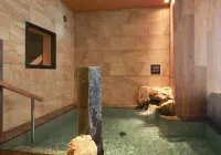 Natural Hot Spring Echizen no Yu Onyado Nono Fukui - Hot Springs