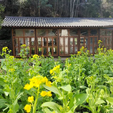 Shitai Yuansheng Suji Homestay