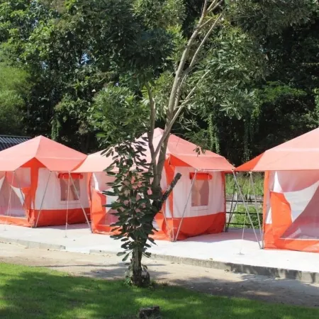 Demy Home