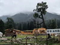 Xingxiu·In the Forest B&B - Airport Shuttle
