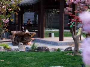 Shuicheng Yipiao  Private Spring Holiday Guesthouse