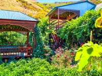 Qicai Xianju B&B