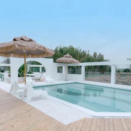 Xiazhi.dishini homeparty qingshe dujia meishu