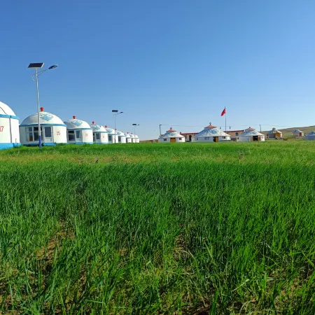 Damao Banner Talin Eji Resort (Xilamuren)