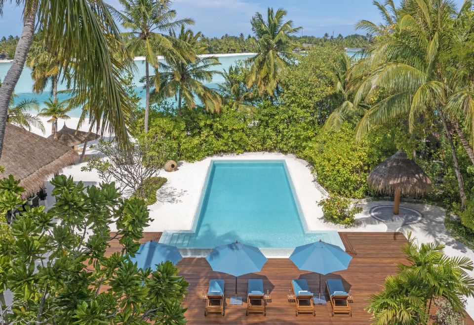 a large pool surrounded by palm trees and chairs , with a view of the ocean in the background at Naladhu Private Island