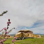 Yano International Camping Park