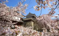 Toyoko Inn Ueda Ekimae Hotels in Ueda