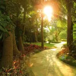 Wenchang Gaoliang Bay Scenic Apartment (Gaolong Bay Holiday Resort) - Beach