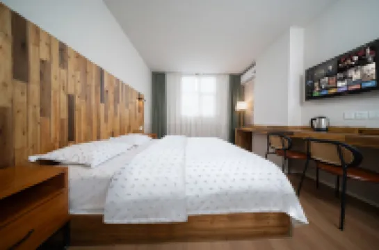 SONDERIA_Lazybones Hostel&Bar