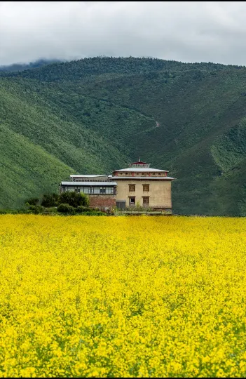 香格里拉農拉央匹生態莊園（納帕海景區店）