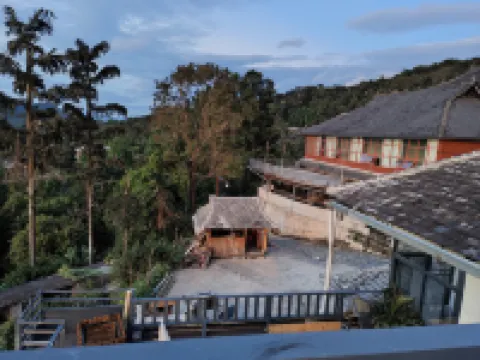 Bianmai Chinese Inn (Jingmai Mountain King Bee Tree)