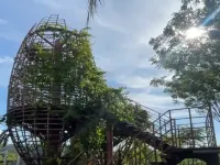 Winner·pik GoldCoast Apartment with sea view Hotels near Mangrove Forest