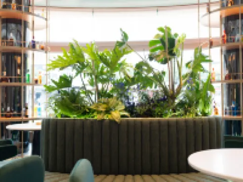 Wuyi Gucheng Wanda Yue Hotel Hotels in Wuyi