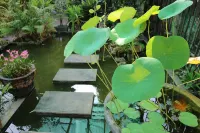 Old Khmer Wooden House