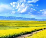 Zhaosu County Xiyue Time and Space Hotel - Romantic