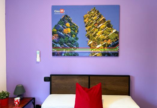 3. 차오미 - 호스..