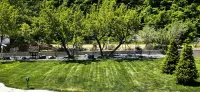 - Mountain View Homestay