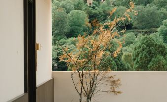 Xianbai Private Hot Spring · Scenic View Cloud Villa