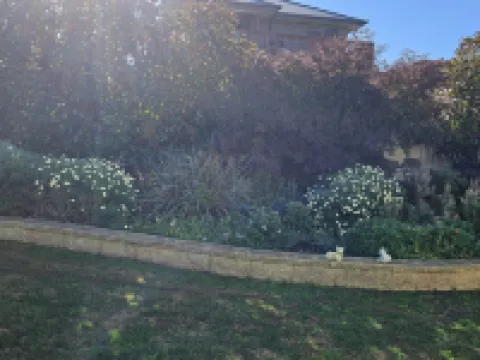 Penguin Retreat Hoteles en Penguin