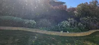 Penguin Retreat Các khách sạn ở Howth