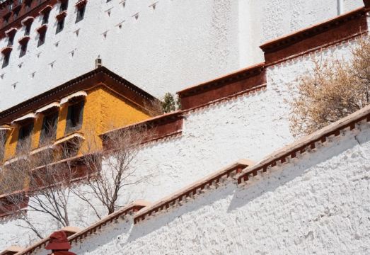 춘추 산소 풍부 호텔