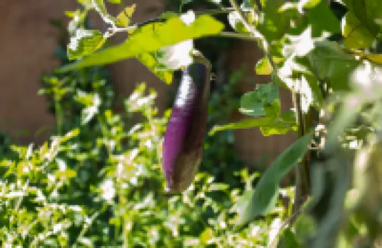 Yiyueju · Poye Yinlu (Fengyangyi) Hotels near The Ancient Tea Horse Road